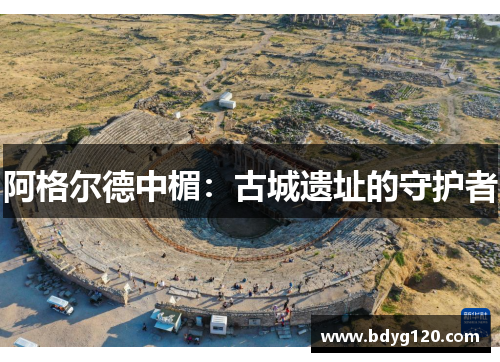 阿格尔德中楣：古城遗址的守护者